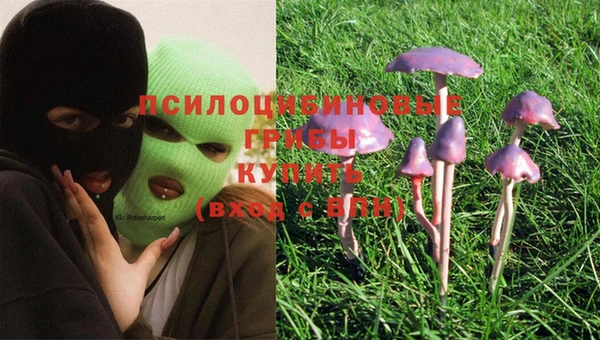 прущая мука Верхний Тагил