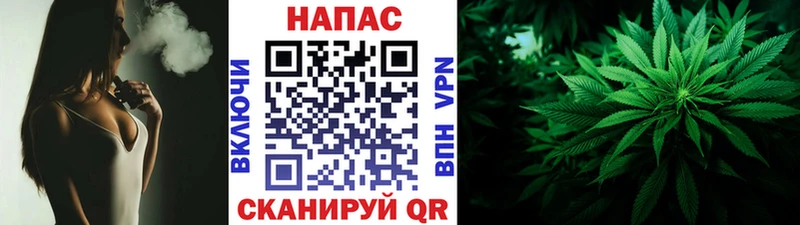 Конопля семена  Балаково 